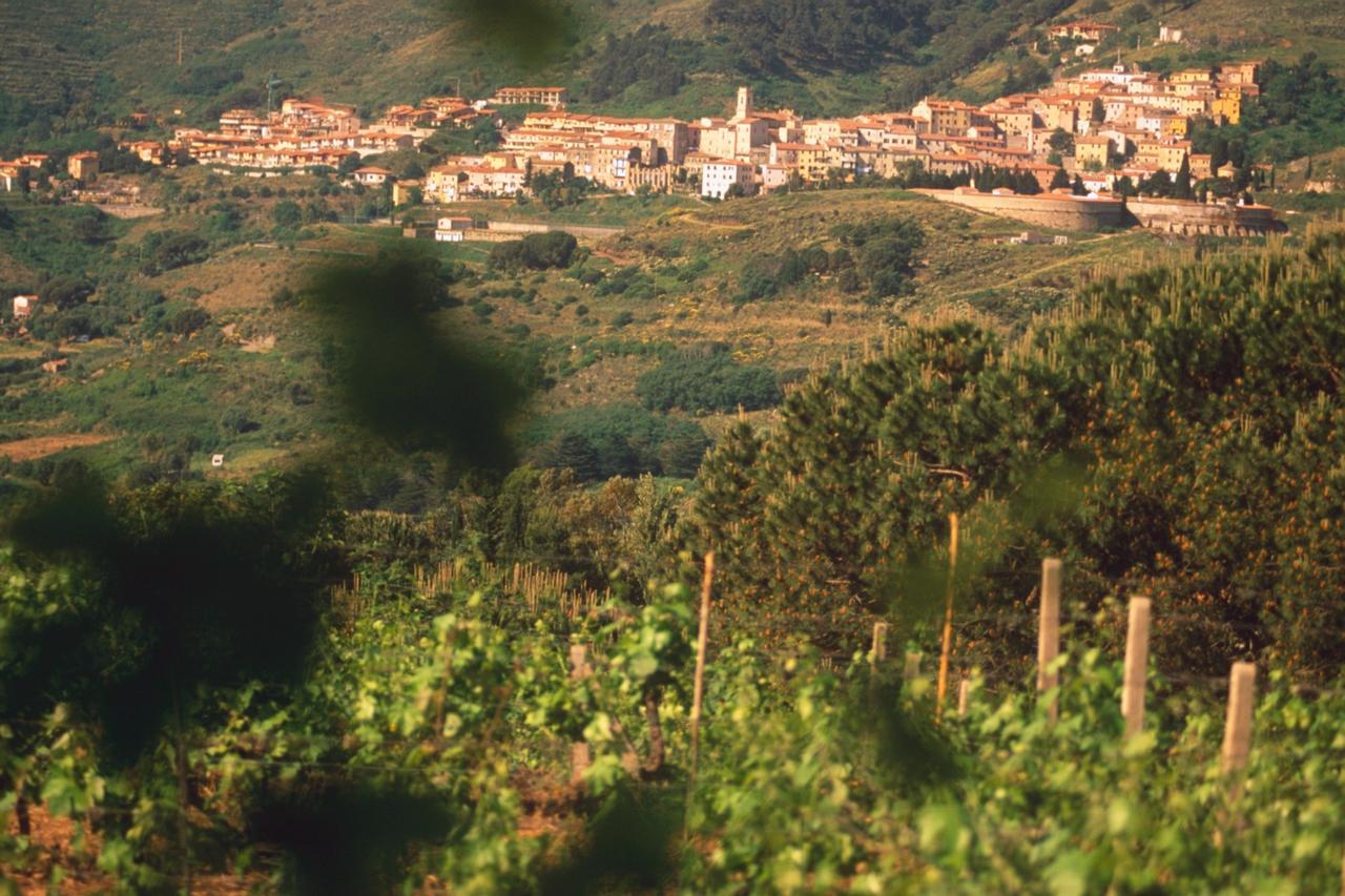 Rio dellʼElba La Chiusa Di Rio 아파트 호텔 외부 사진